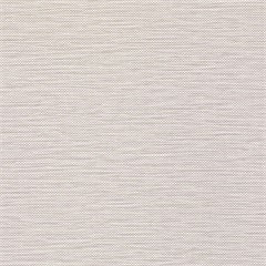 Weft Silver